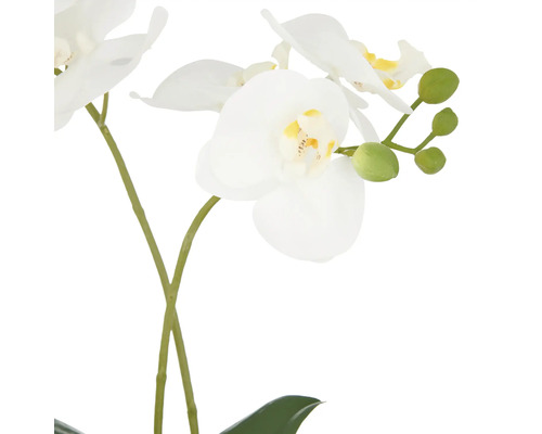 Kunstorchidee met witte bloemen