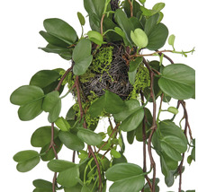 Kunst hangplant met groene bladeren en een nest van mos