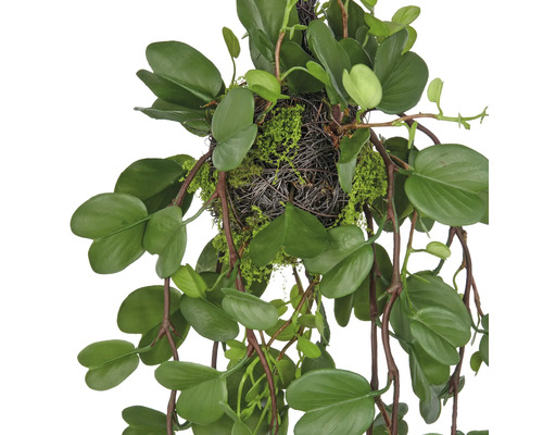 Kunst hangplant met groene bladeren en een nest van mos