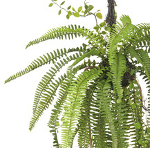 Hangplant met varen en kleine bladeren