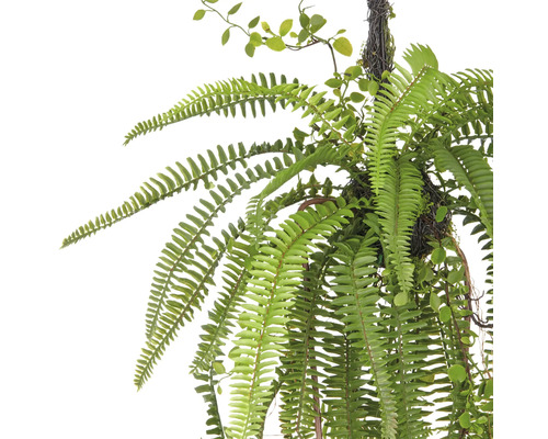Hangplant met varen en kleine bladeren