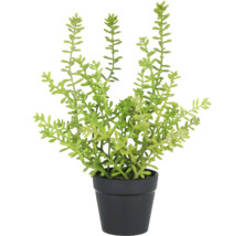 Kunstplant in pot