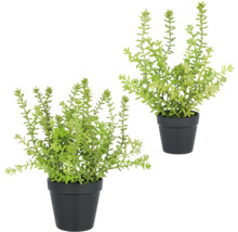 Twee kunstplanten in potten