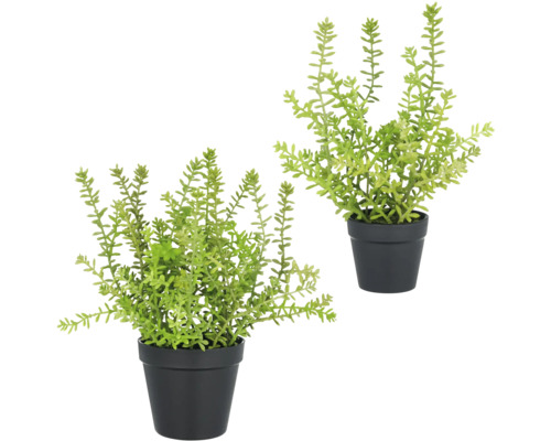 Twee kunstplanten in potten