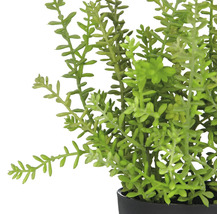 Kunstmatige vetplant in pot