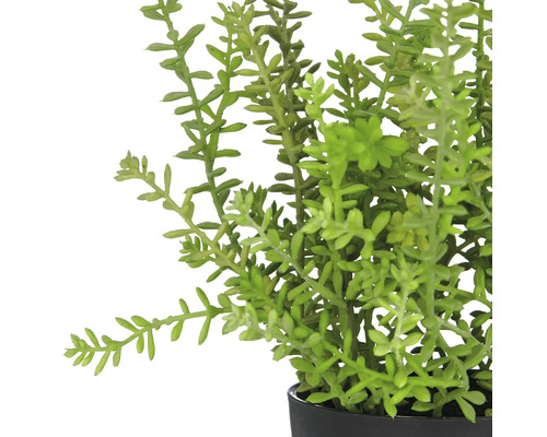 Kunstmatige vetplant in pot