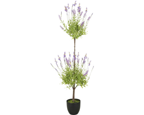 Decoratieve lavendelboom in pot voor binnen