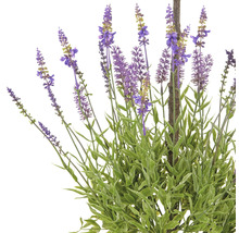 Kunstmatige lavendel met groene bladeren