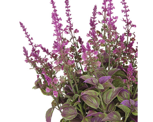 Kunstlavendel met paarse bloemen en groene bladeren