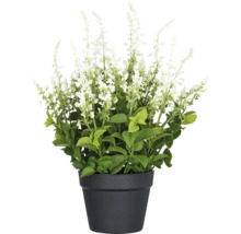 Kunstplant met witte bloemen in pot