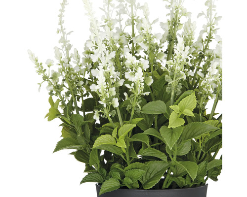 Kunstplant salie met witte bloemen en groene bladeren
