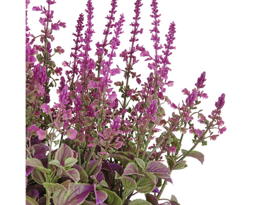 Decoratieve kunstplant met lila bloemen en groene bladeren.