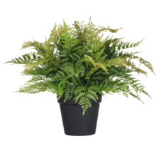 Kunstmatige varen in een pot