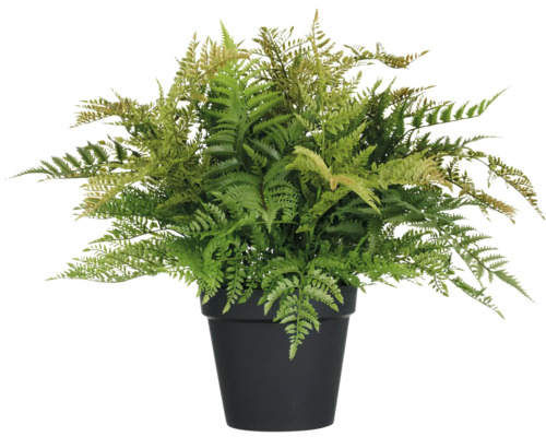 Kunstmatige varen in een pot