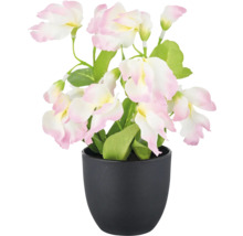 Decoratieve kunstbloem met roze-witte bloemen in een zwarte pot