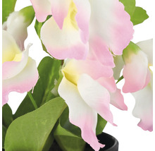 Decoratieve kunstorchidee met bloemen en bladeren