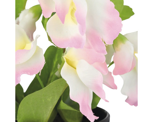 Decoratieve kunstorchidee met bloemen en bladeren