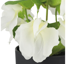 Kunstmatige witte bloemen in zwarte pot ter decoratie