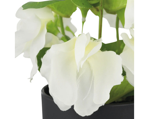 Kunstmatige witte bloemen in zwarte pot ter decoratie