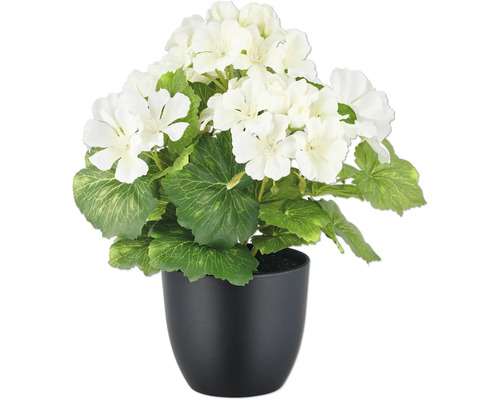 Kunstmatige geranium in een zwarte pot