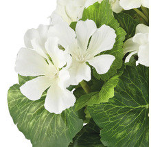 Kunstplant geranium met witte bloemen en groene bladeren