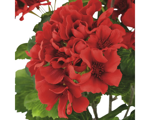 Close-up van een rode geraniumbloem met groene bladeren