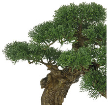 Kunstmatige Bonsai boom