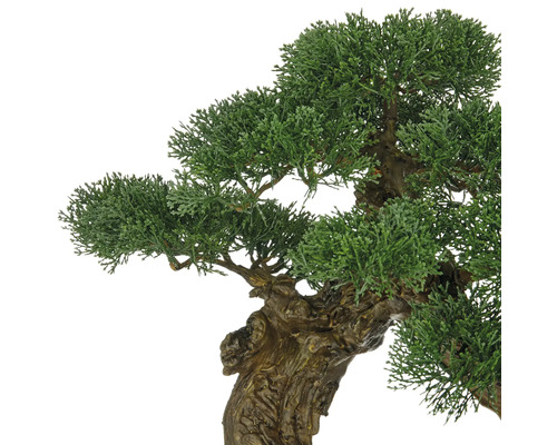 Kunstmatige Bonsai boom