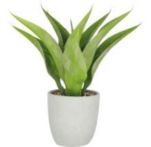 Kunstmatige Aloë Vera plant in pot