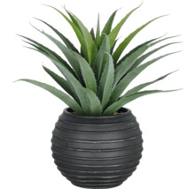 Kunstmatige agave in een pot