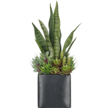 Kunstmatige vetplanten in een donkere, hoekige pot