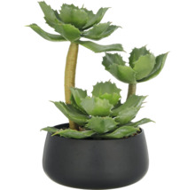 Kunstmatige vetplant in zwarte pot