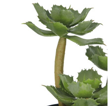 Kunstmatige agave voor interieurdecoratie