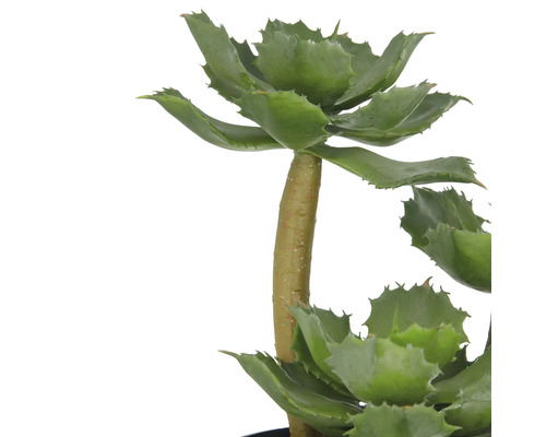 Kunstmatige agave voor interieurdecoratie