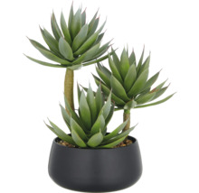 Kunstmatige agave in zwarte pot als kamerdecoratie