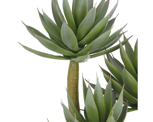 Kunstmatige agaveplant met groene bladeren en een bruine stengel