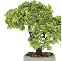 Kunstmatige Bonsai boom in pot