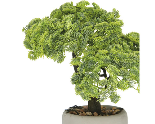Kunstmatige Bonsai boom in pot