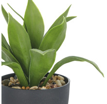 Kunstplant in pot met stenen