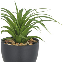 Kunstmatige groene plant in pot met stenen