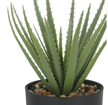 Kunstmatige Aloë Vera plant in zwarte pot met stenen