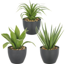 Drie kunstmatige potplanten met verschillende bladvormen in zwarte potten