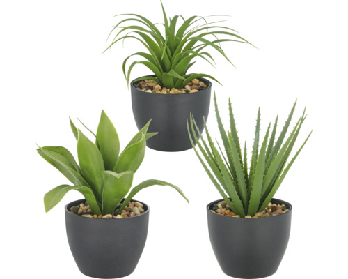 Drie kunstmatige potplanten met verschillende bladvormen in zwarte potten