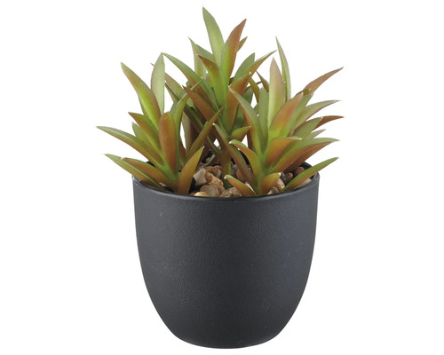 Kunstmatige vetplant in zwarte pot