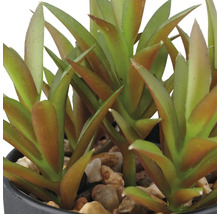 Kunstmatige vetplant in pot met stenen