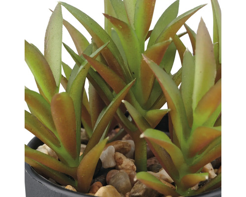 Kunstmatige vetplant in pot met stenen