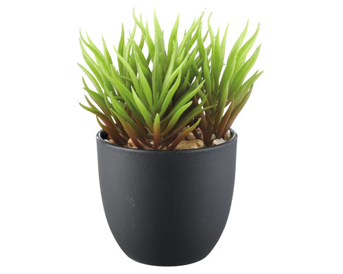 Kunstmatige vetplant in zwarte pot