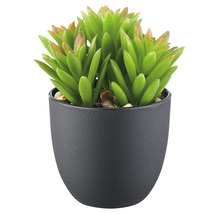 Kunstmatige vetplant in een pot