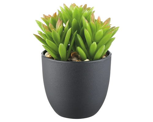 Kunstmatige vetplant in een pot