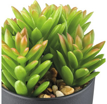 Kunstmatige vetplant in pot als decoratie